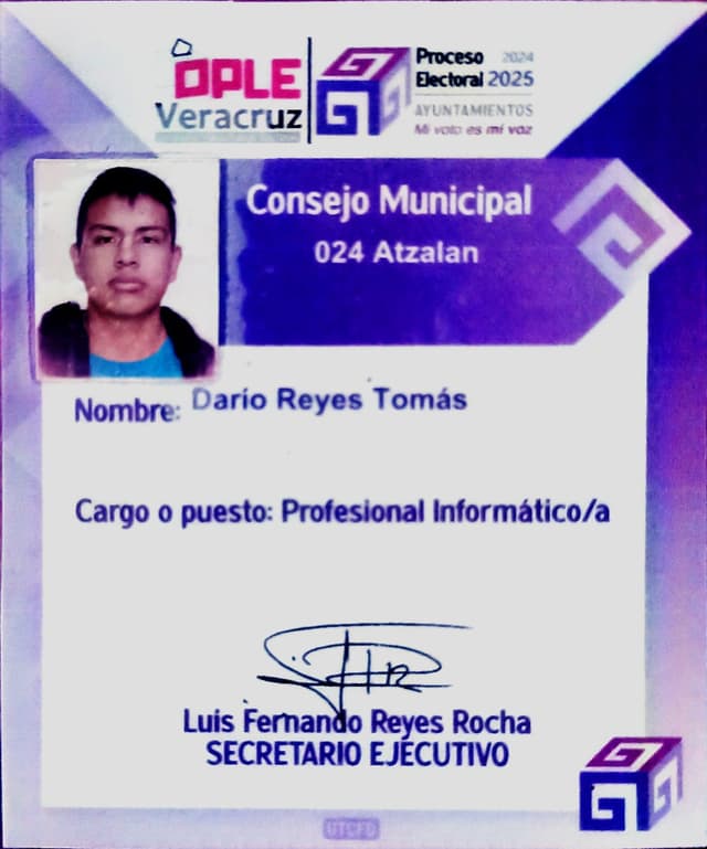 profesional Informático